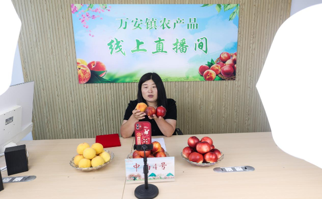 农业新篇:农副产品购销市场的变化与趋势