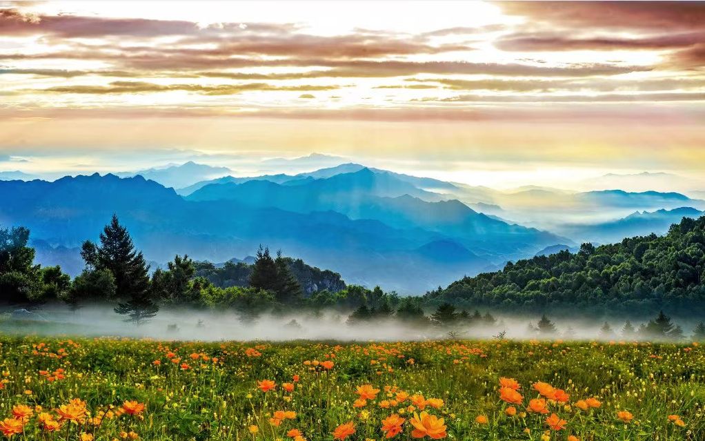 田畴绿、炉火旺、山间凉——夏至时节山西五台县见闻