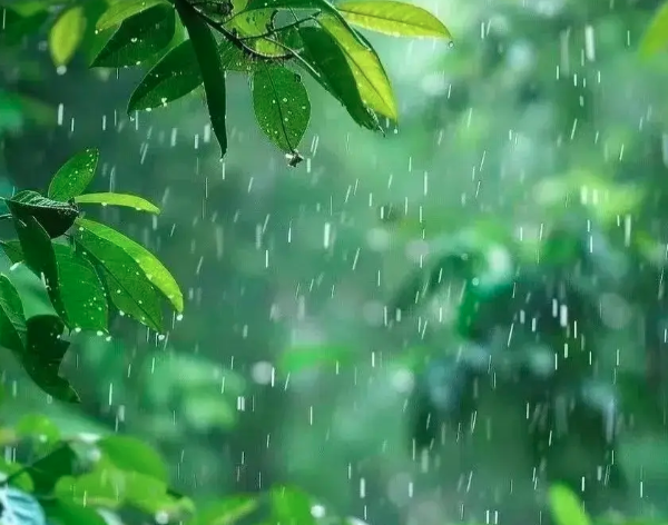 山西省未来几天多地有雨 局部有大到暴雨