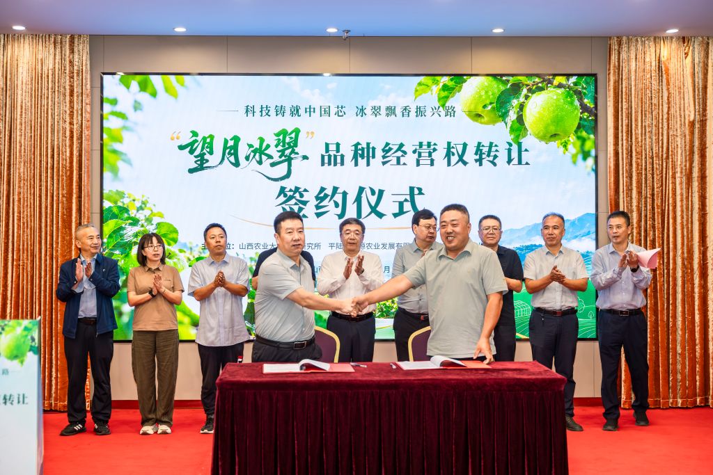 山西苹果“望月冰翠”品种经营权转让签约仪式举行