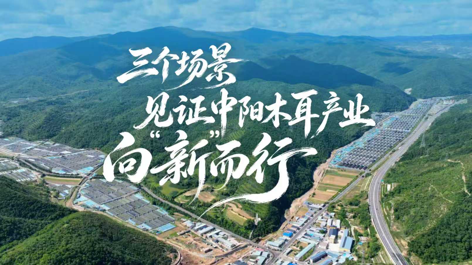 三个场景，见证中阳木耳产业向“新”而行