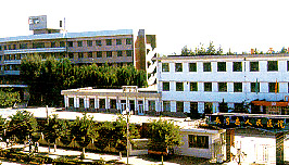 ������ҽԺ