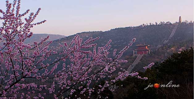 在那桃花盛开的地方