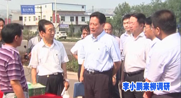 李小鹏来柳调研