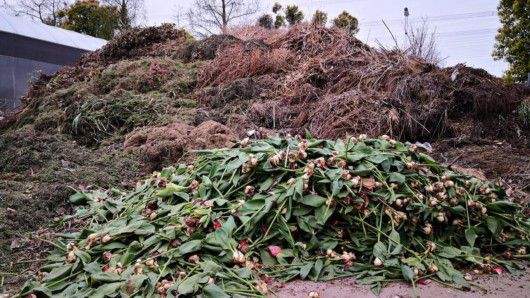 太原首个专业性绿废处理基地建成 园林废弃物有了新去处