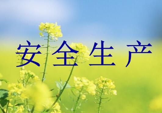 山西开展&ldquo;两会&rdquo;期间安全生产专项督查