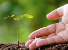 山西省“科学施肥”技术将覆盖90％以上