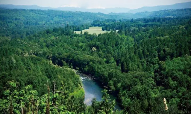 山西省级总林长签发《关于确保实现“十四五”森林覆盖率目标的令》