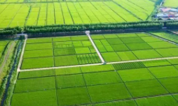 到2030年，太原要累计建成高标准农田72.21万亩
