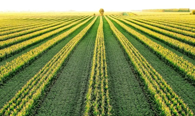 山西发布5大类46项农业农村产业发展重大技术需求