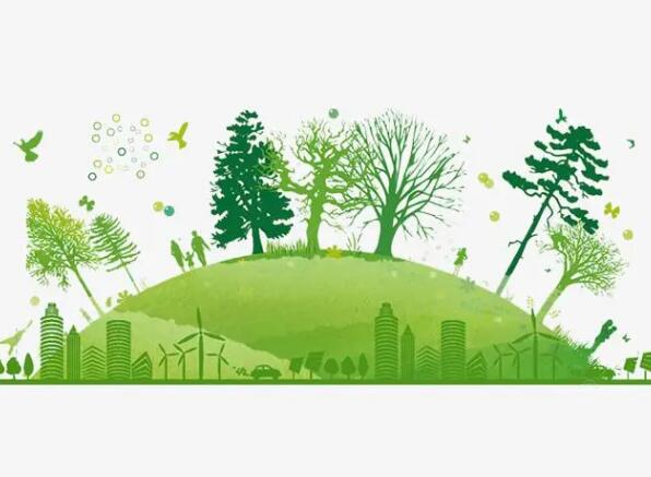 吴建光委员：为能源产业绿色低碳转型贡献力量