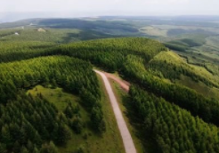 2022年山西人工造林350万亩 居全国第一