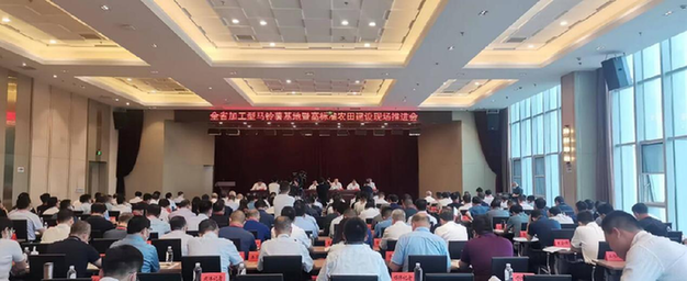 山西省加工型马铃薯基地暨高标准农田建设现场推进会召开