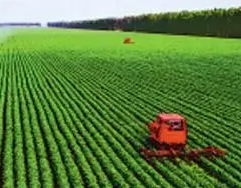 山西省即将开展粮食高标准绿色仓储提升行动