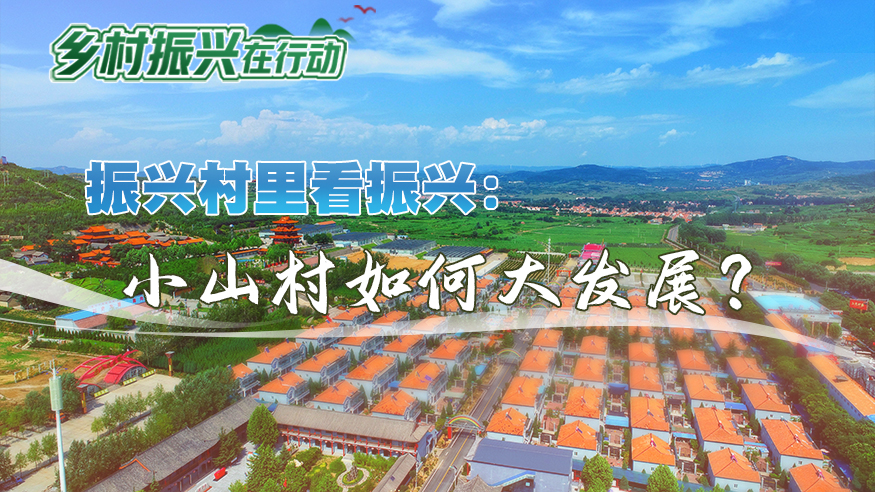 振兴村里看振兴：小山村如何大发展？